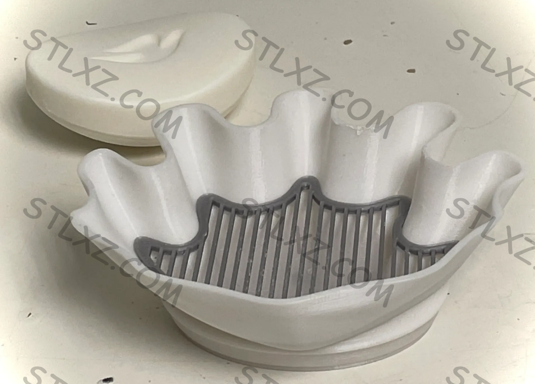 巨型贝壳 – 肥皂盘-STL下载网_3D打印模型网_3D模型库_3D打印模型素材